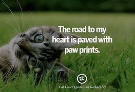 Image result for Cute Crazy Quotes