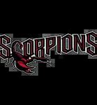 Image result for Scottsdale Scorpions Baseball
