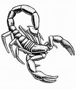 Image result for Cool Drawings of Scorpions