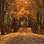 Image result for Autumn Vibes Desktop Wallpaper