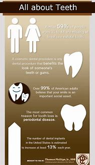 Image result for Information About Teeth