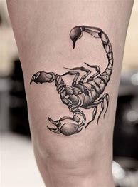 Image result for Pretty Scorpion Tattoo Designs