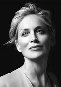 Image result for Sharon Stone Attorney