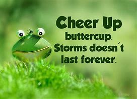 Image result for Cheer Me Up Quotes and Sayings
