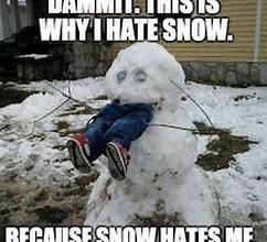 Image result for Hilarious Snow