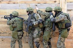 Image result for Croatian Military