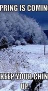 Image result for Spring Snow Humor