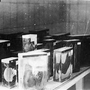 Image result for Ilse Koch Artifacts