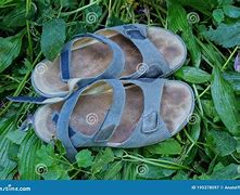 Image result for Adidas Sandals Blue