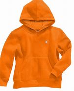 Image result for Champion Hoodie Kids