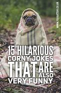 Image result for Best Corny Jokes