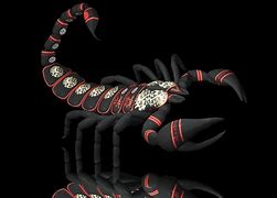 Image result for Scorpion Wallpaper HD