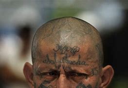Image result for MS-13 Mexico Gang