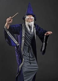 Image result for Adult Wizard Costume