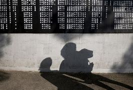 Image result for Japan Atomic Bomb Shadows