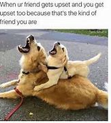 Image result for Crazy Friends Funny