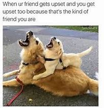 Image result for Weird Friends Funny