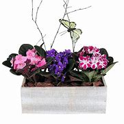 Image result for Rustic Violet Planter