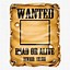 Image result for Wild West Wanted Poster Template Free