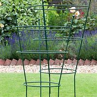 Image result for Outdoor Plant Supports