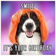 Image result for Its My Birthday Funny