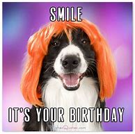 Image result for Funny Happy Birthday Card Quotes