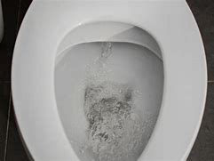 Image result for Toilet Flush