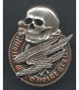 Image result for Fallschirmjager Division Badge