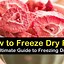 Image result for Homemade Freeze Dryer Plans