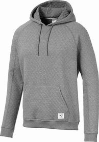 Image result for Puma Black and Grey Hoodie