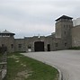 Image result for Mauthausen Mass Graves