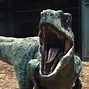 Image result for Jurassic World Velociraptor Raptor Blue