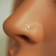 Image result for Nose Piercing Stud