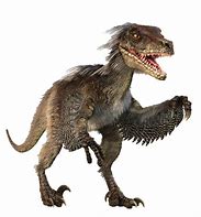 Image result for Raptor Dinosaur Jurassic Park