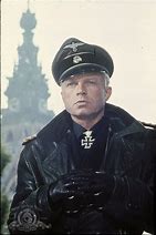 Image result for Waffen SS General's