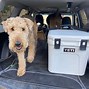 Image result for Yeti Cooler Dimensions
