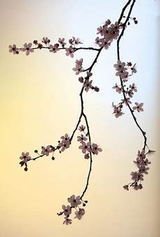Cherry blossom stencil IOANA STOIAN
