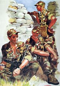 Image result for French Algerian War Uniforms