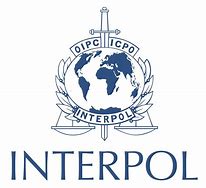 Image result for Interpol Wanted Poster Photoshoped