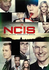 Image result for NCIS Season 15 DVD