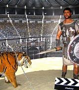 Image result for Colosseum Gladiator Fights
