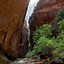 Image result for Narrows Slot Canyon in Zion National Park