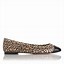 Image result for Helen Mirren Shoes