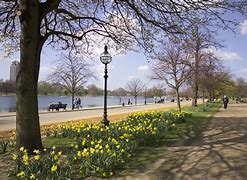Image result for Hyde Park London