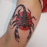 Image result for Curled Scorpion Tattoo