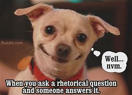 Image result for Funny Rhetorical Question Examples