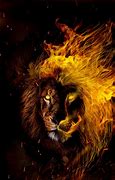 Image result for Fire Lion Background