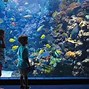 Image result for Best Aquariums in the Us
