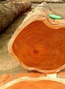 Image result for Teak Wood for Sale