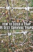Image result for Survival Traps Working
